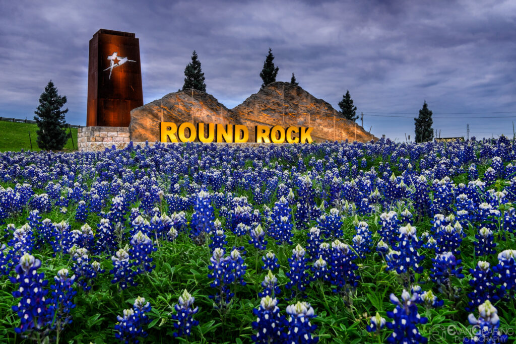 Round Rock Sign and Bluebonnets